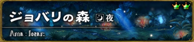 ジョバリのの森　夜