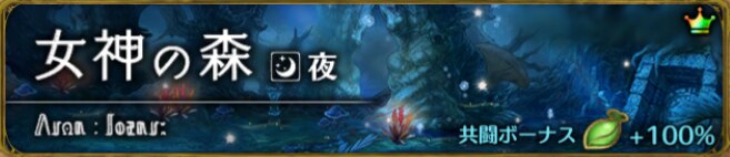 女神の森　夜