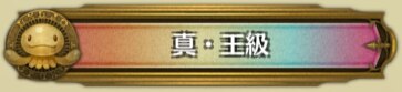 称号　新　王級
