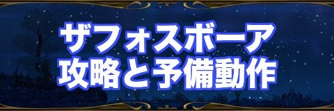 ザフォスボーア攻略と予備動作
