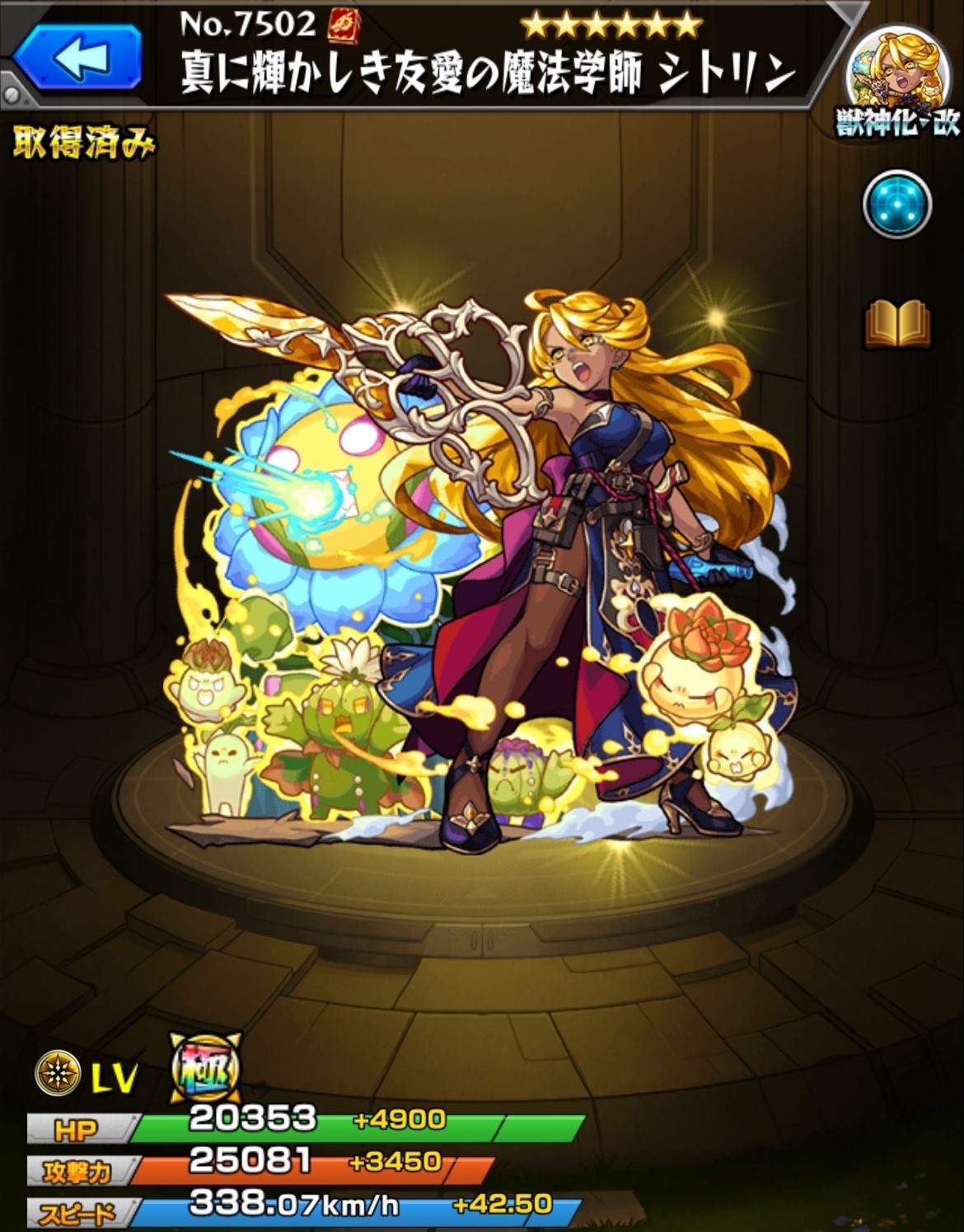 まこと虫　【金鯱セッカ】自社交配/実生苗/モンスト☆綴化☆マニア必見 モンスト」×「コトダマン」コラボ第5弾 2024年1月30日（火）より開催