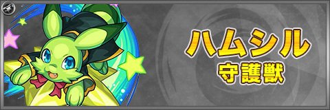 ハムシルのスキルと最新評価