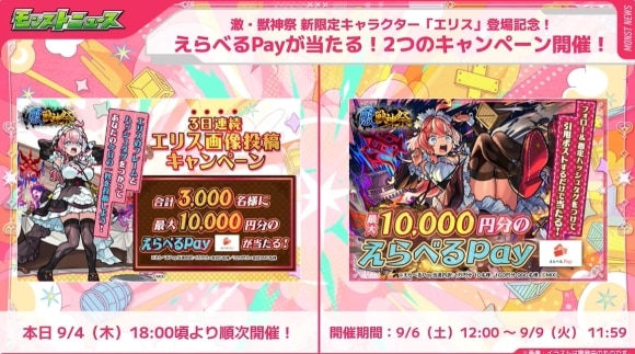 エリス　キャンペーン