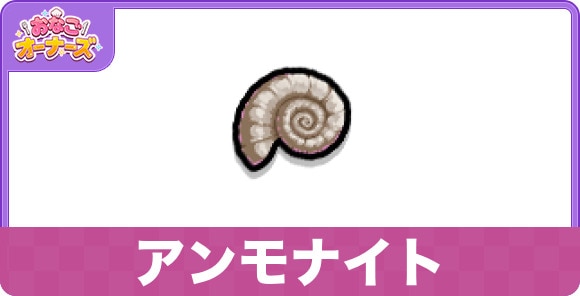 アンモナイト