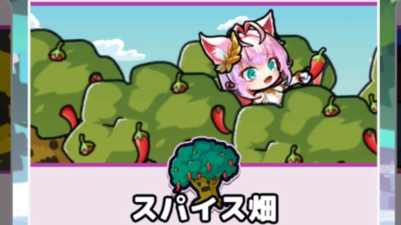 スパイス畑