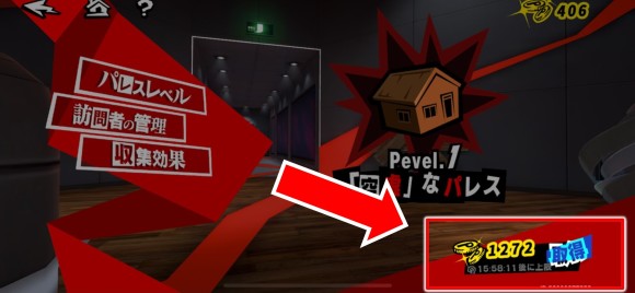 Pメダル