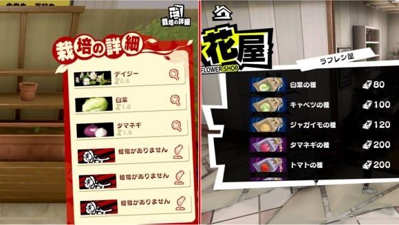自宅で栽培する