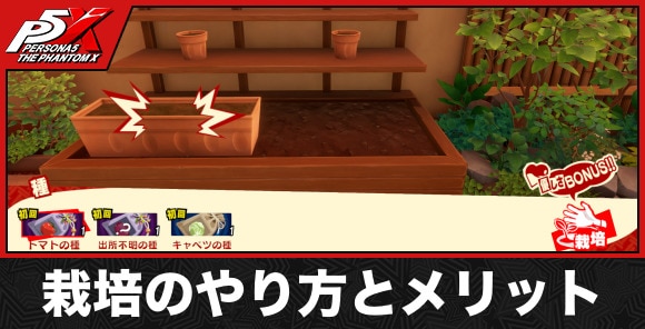 栽培のやり方とメリット