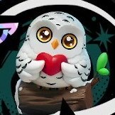 シロフクロウ