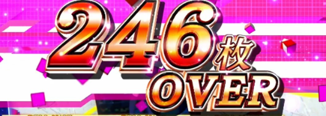 スマスロよう実　246枚
