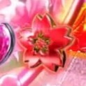 赤