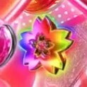 虹