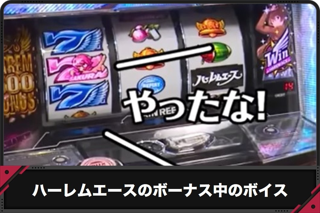 ハーレムエースのボーナス中のボイス
