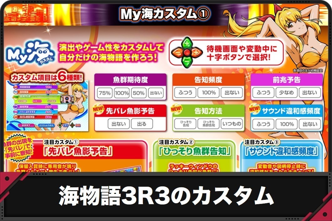 海物語3R3のカスタム