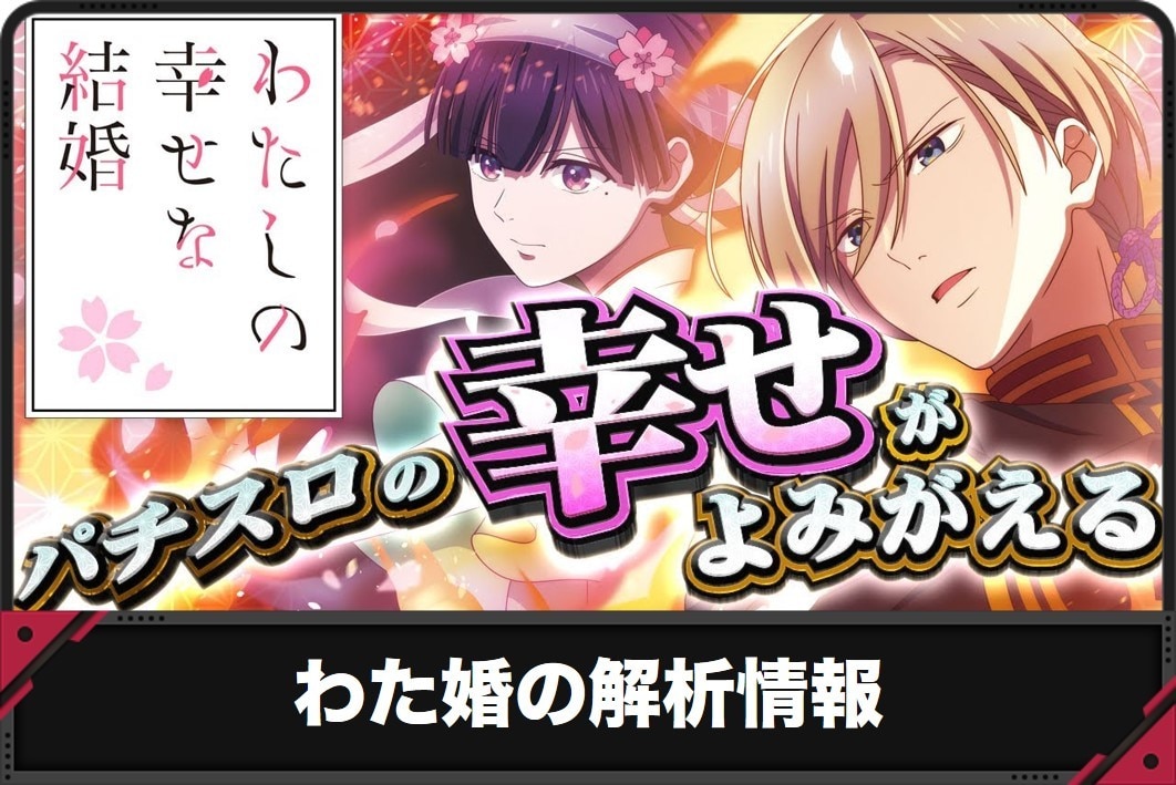 わた婚の解析情報