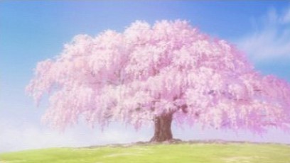 桜