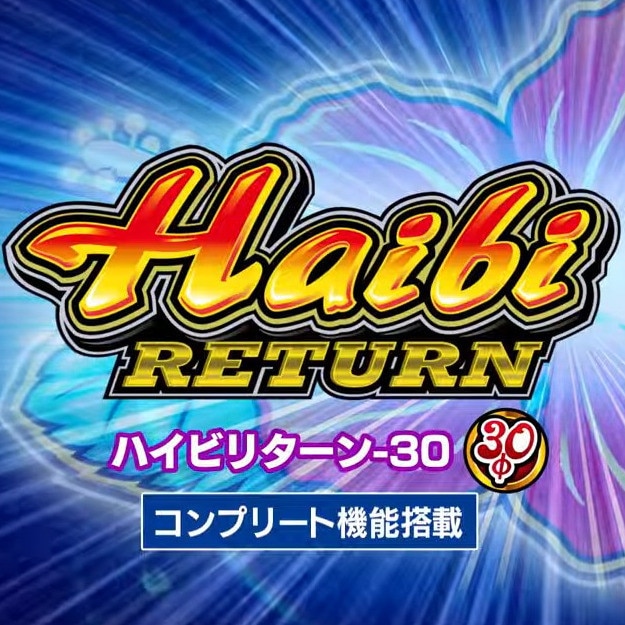 ハイビリターン