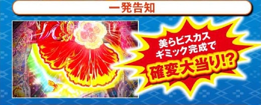 沖縄6美らビスカス