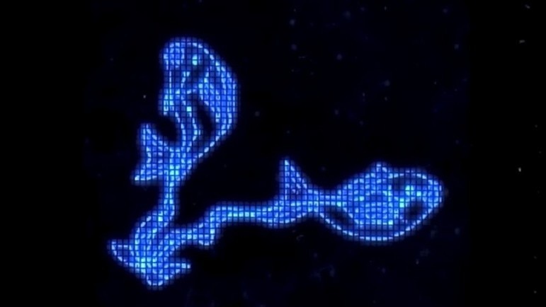 ネオプラネットスマスロ　サブ&液晶　うお座？