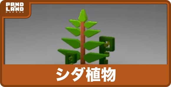 シダ植物