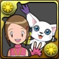 八神ヒカリ&テイルモン(02)