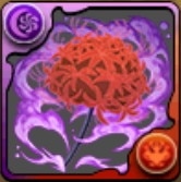 及川悠紀夫装備