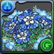 ネモフィラの星光華