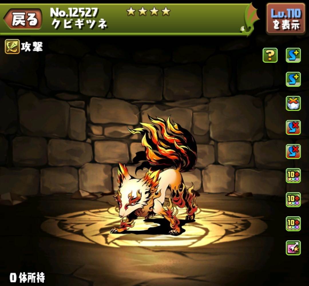 クビギツネ