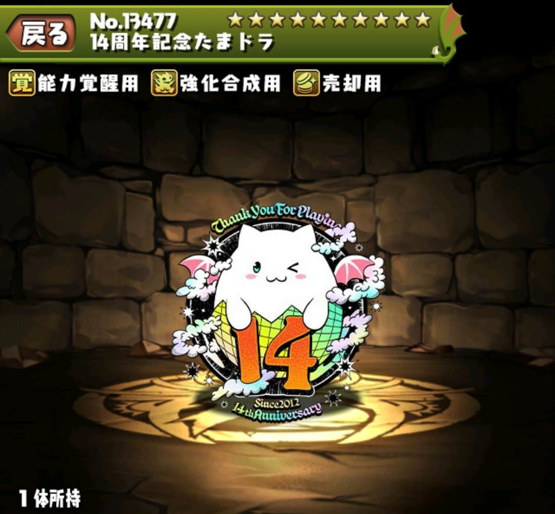 14周年記念たまドラ