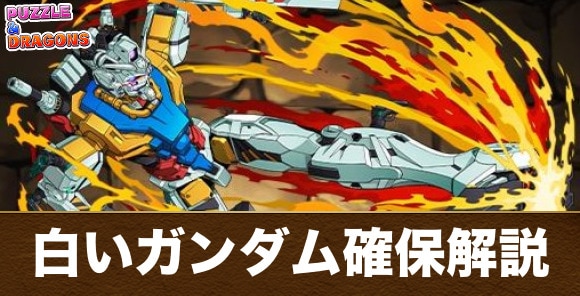 白いガンダム確保解説