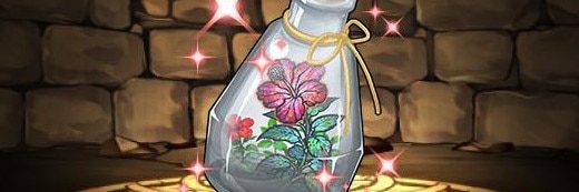 ハイビスカスのハーバリウム