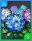 アジサイの星光華(ナツル)