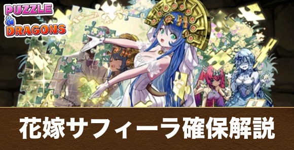 花嫁サフィーラ確保解説