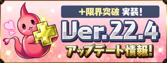 Ver22.4
