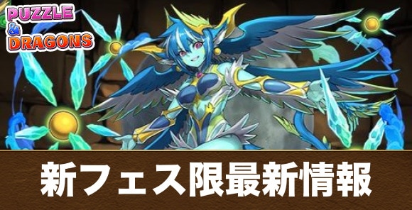 新フェス限最新情報