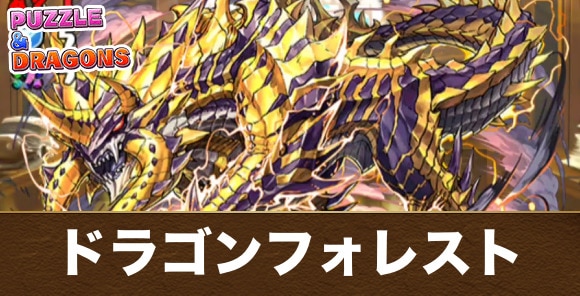ドラゴンフォレストの攻略と周回おすすめパーティ