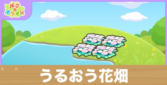 うるおう花畑の生息地の作り方と出現するポケモン一覧