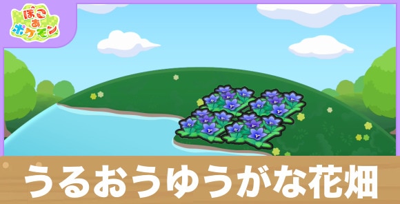 うるおうゆうがな花畑の生息地の作り方と出現するポケモン一覧
