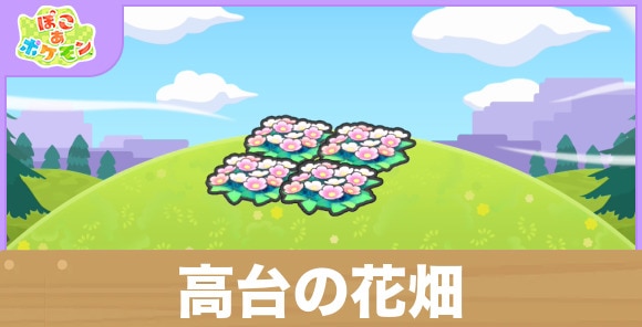 高台の花畑の生息地の作り方と出現するポケモン一覧