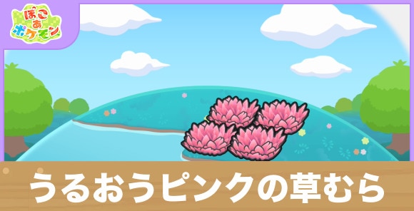 うるおうピンクの草むらの生息地の作り方と出現するポケモン一覧