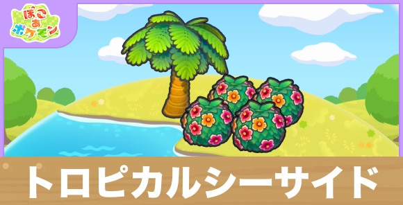 トロピカルシーサイドの生息地の作り方と出現するポケモン一覧