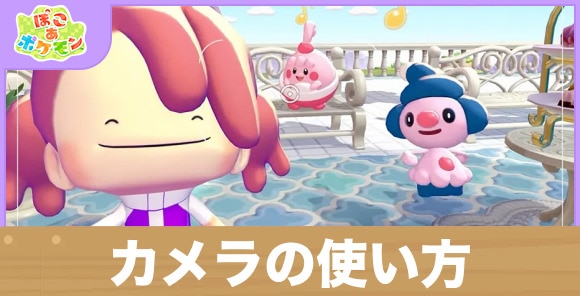 【ぽこあポケモン】カメラの使い方
