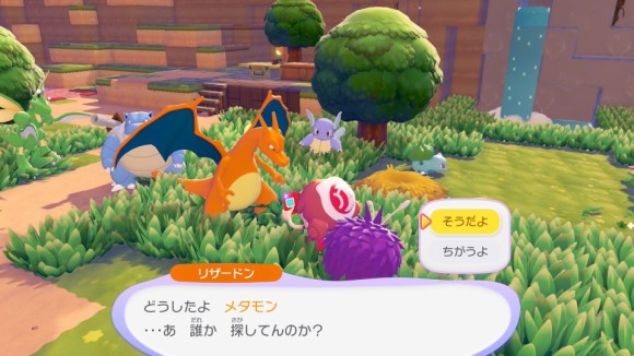 さがし中の状態でそらをとぶポケモンと会話