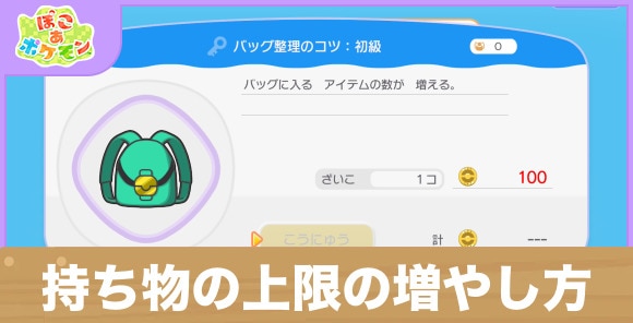 持ち物の収納上限の増やし方・バック拡張方法