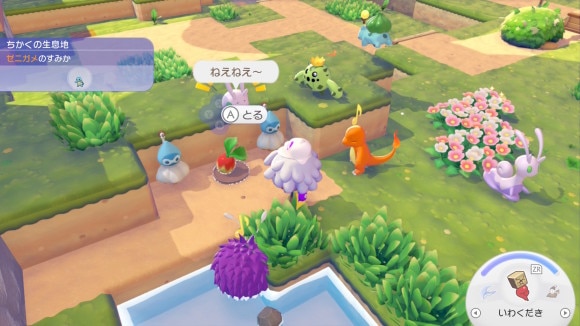 ぽこあポケモン あまごいスポット