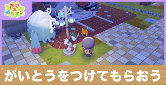 【ぽこあポケモン】がいとうをつけてもらおう
