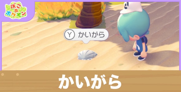 【ぽこあポケモン】かいがら