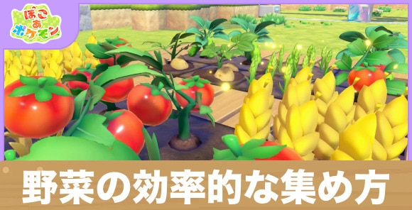 野菜の効率的な集め方