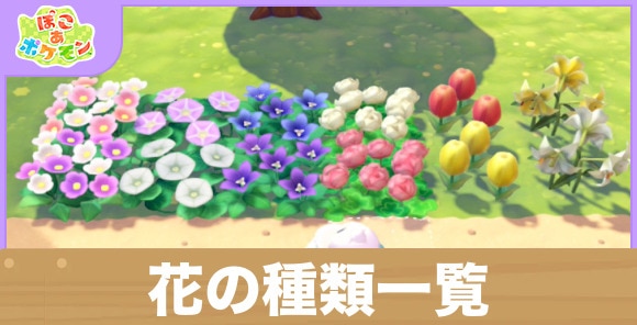 花の種類一覧と集める方法