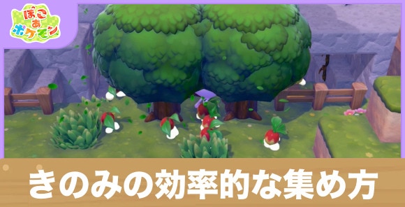 きのみの効率的な集め方と入手方法一覧
